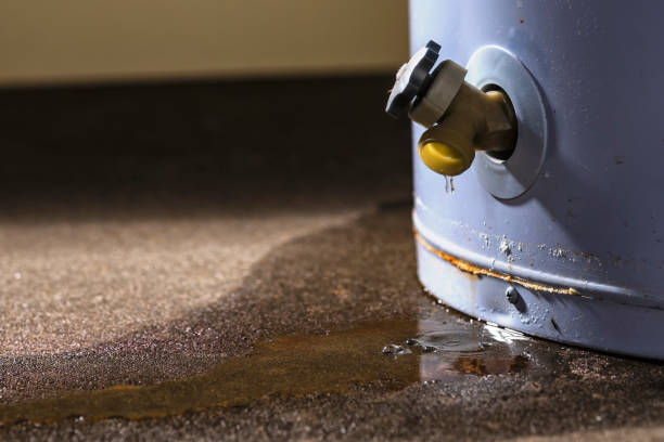 Best Mold removal after water damage  in East Kapolei, HI