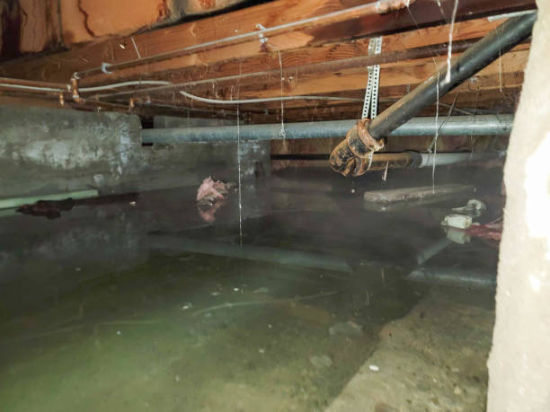 Best Basement water damage restoration  in East Kapolei, HI