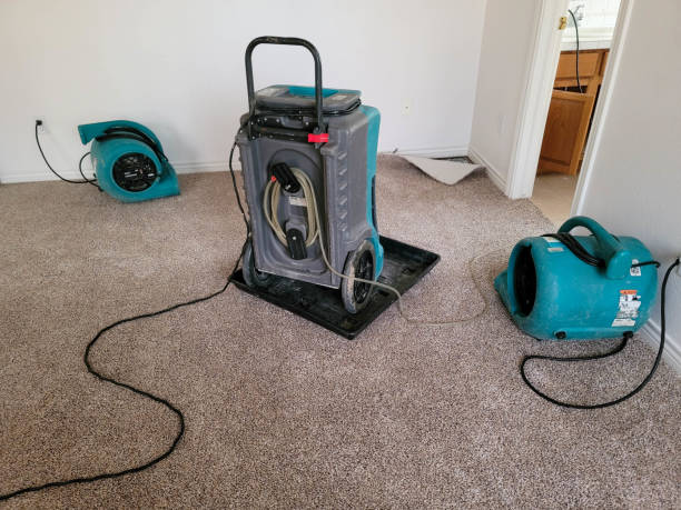 Reliable East Kapolei, HI Water damage restoration Solutions