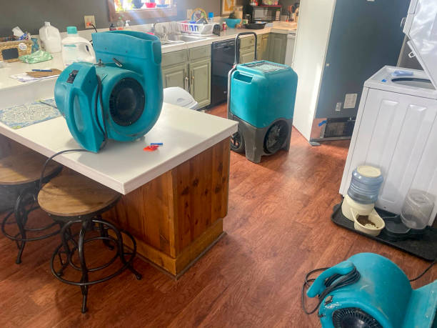 Best Water damage restoration near me  in East Kapolei, HI