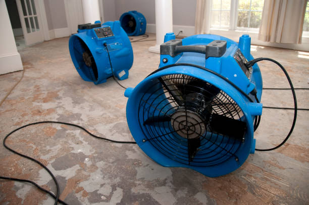 Best Carpet water damage restoration  in East Kapolei, HI
