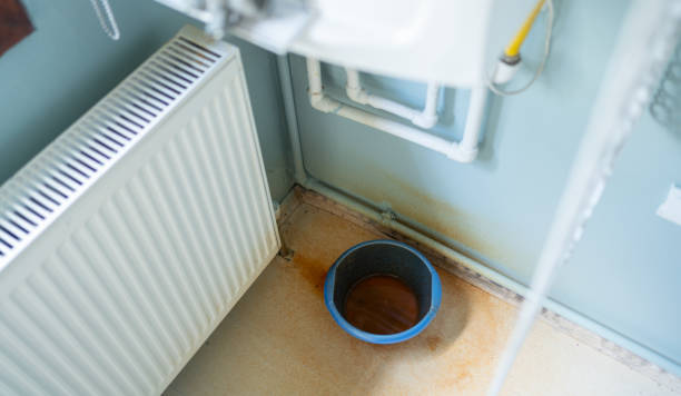 Best Mold removal after water damage  in East Kapolei, HI